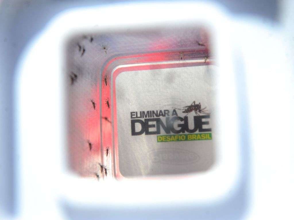 ctnbio-aprova-biosseguranca-de-vacina-contra-a-dengue