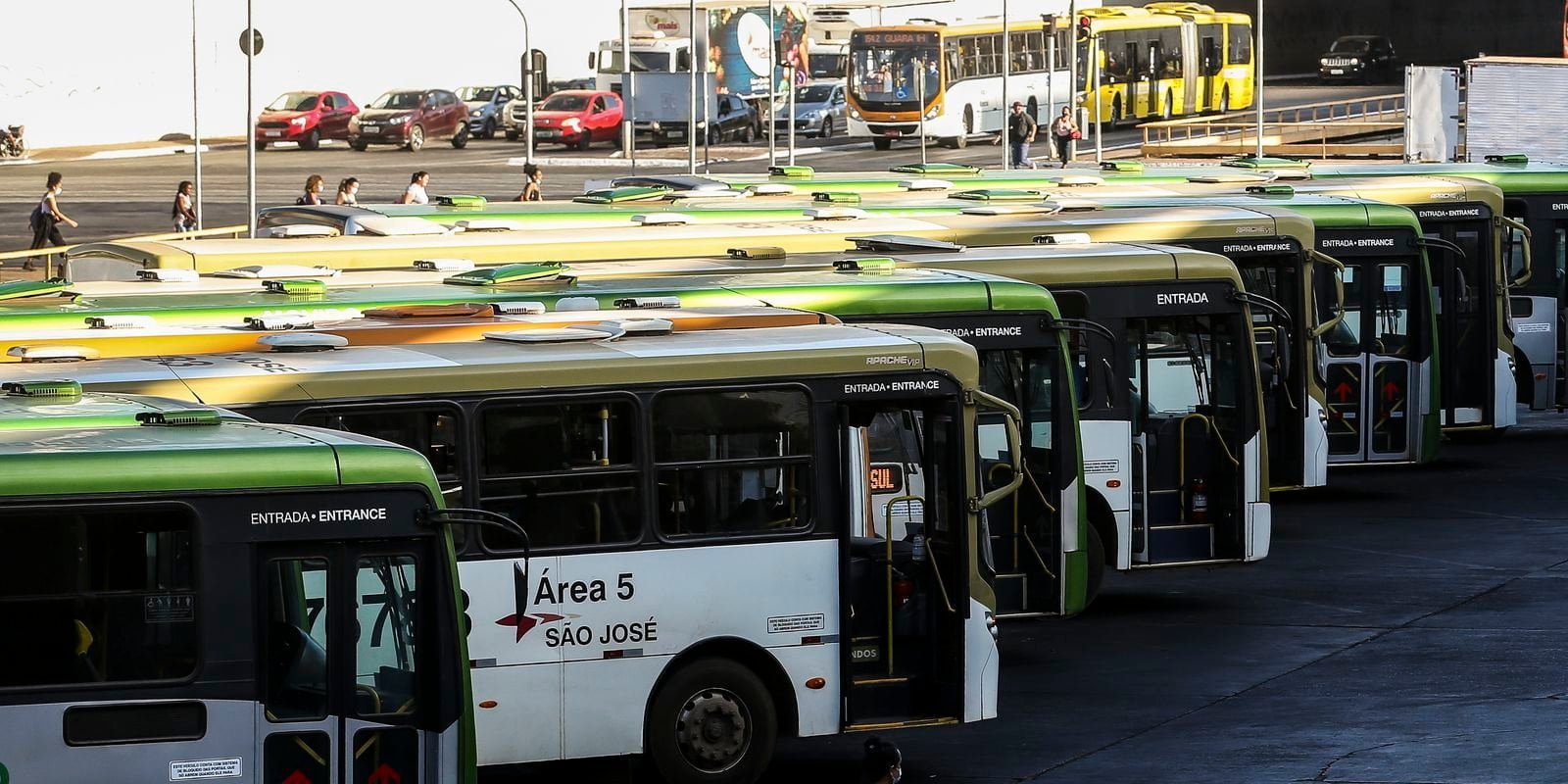exame-toxicologico-para-motoristas-de-onibus-e-caminhao-tem-novo-prazo