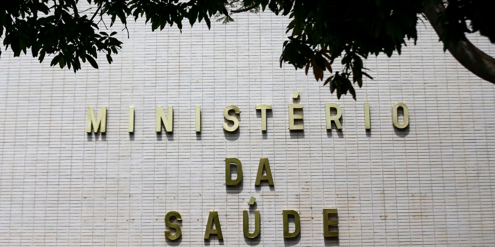 brasil-fez-206-transplantes-de-coracao-no-primeiro-semestre-deste-ano