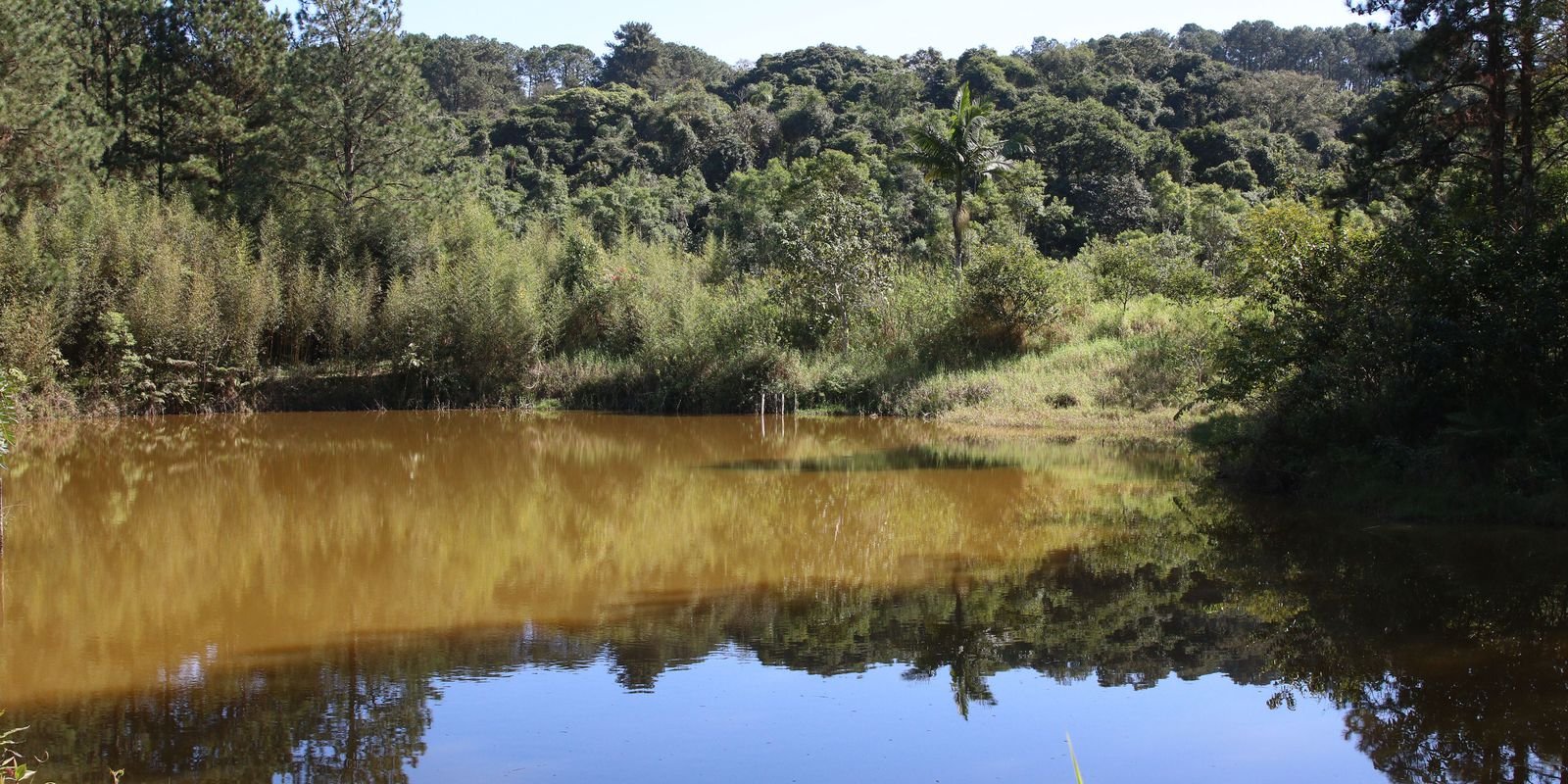 superficie-de-agua-encolheu-em-paises-amazonicos,-mostra-mapbiomas