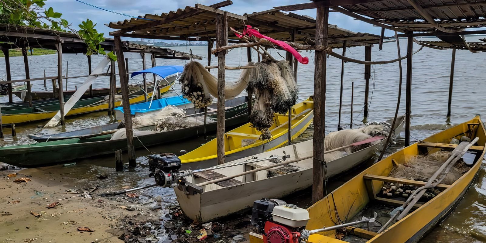 peixe-na-agua-e-rede-vazia:-desastre-da-braskem-atinge-pescadores