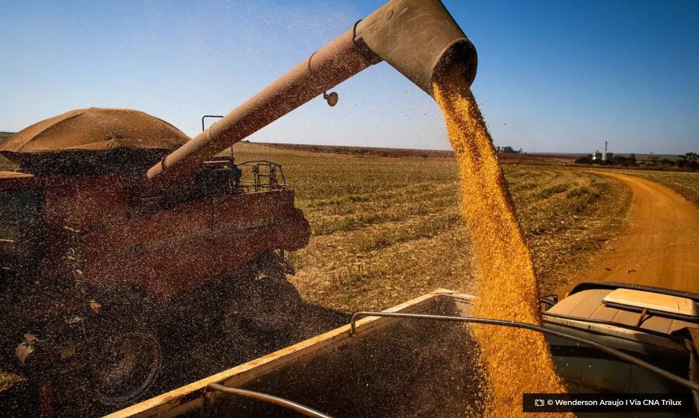 brasil-colhera-297,5-milhoes-de-toneladas-de-graos,-estima-a-conab