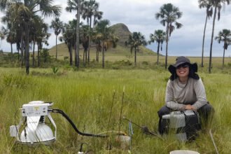 Estudo indica que Cerrado pode armazenar mais carbono que Amazônia