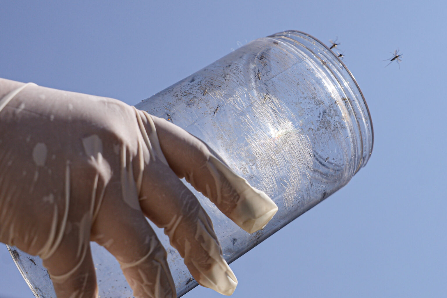 Cinquenta novos agentes intensificam combate à chikungunya na reserva indígena de Dourados