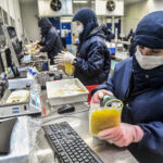 Federação Mundial alerta que 75% das pessoas com hemofilia não foram diagnosticadas