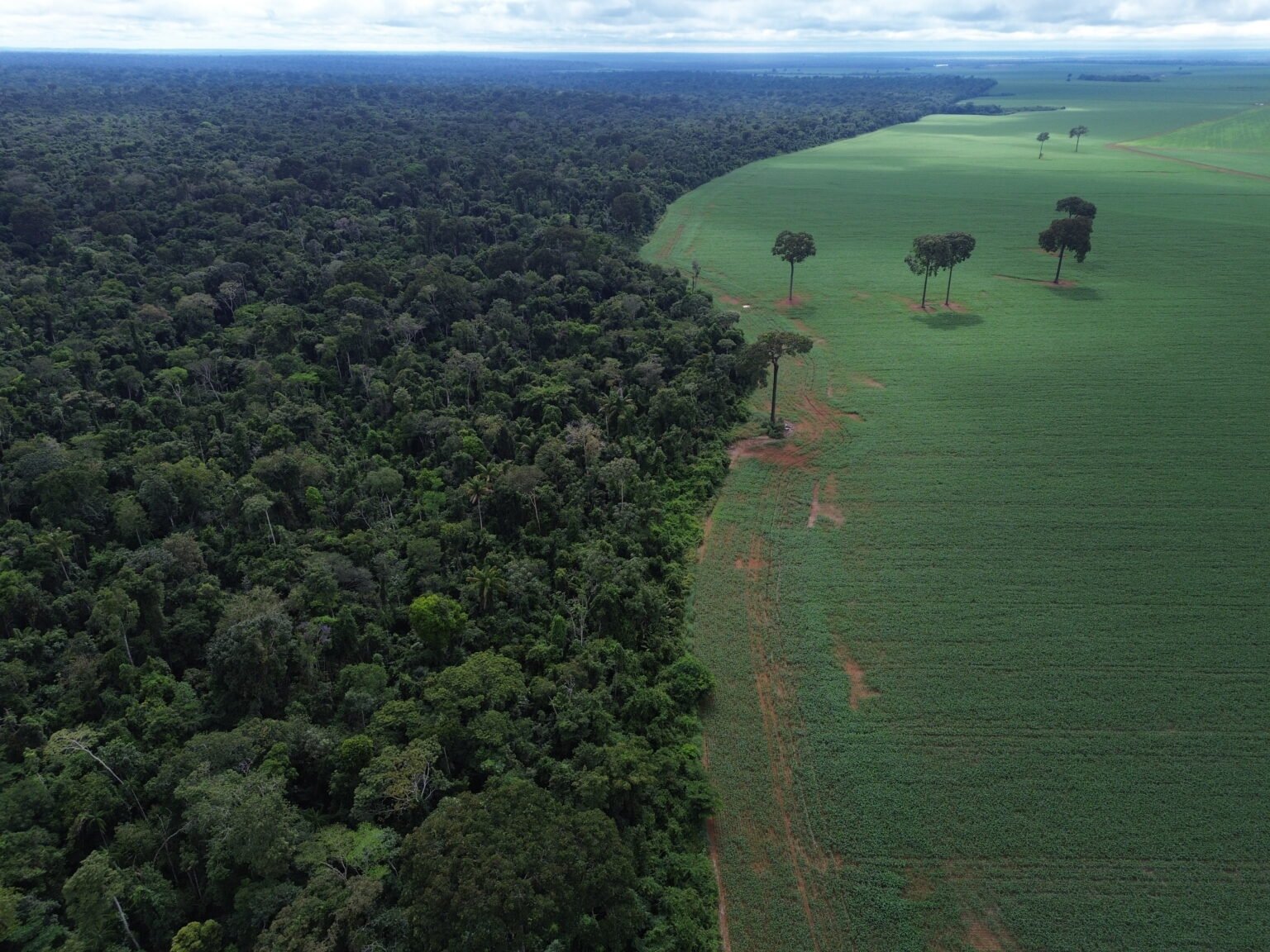 Brasil apresenta propostas de preservação ambiental em fórum da ONU em Nova Iorque