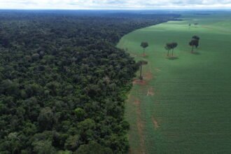 Brasil apresenta propostas de preservação ambiental em fórum da ONU em Nova Iorque