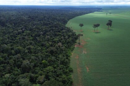 Brasil apresenta propostas de preservação ambiental em fórum da ONU em Nova Iorque