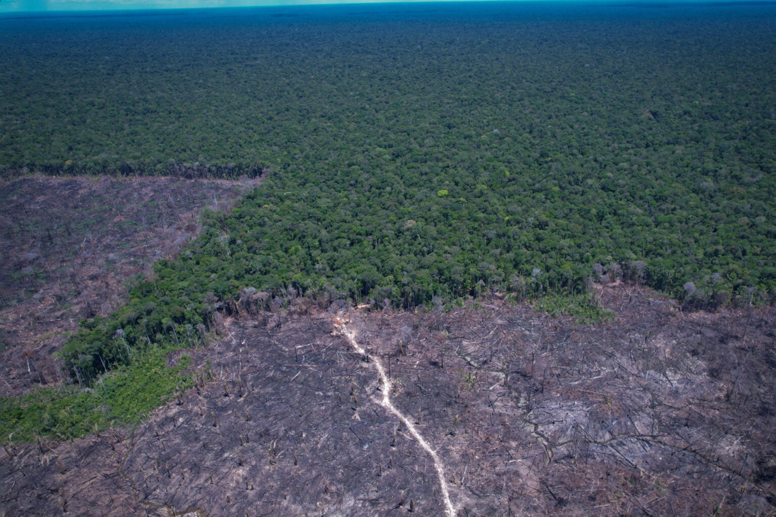 COP30 e COP31 articulam acelerador global para metas climáticas