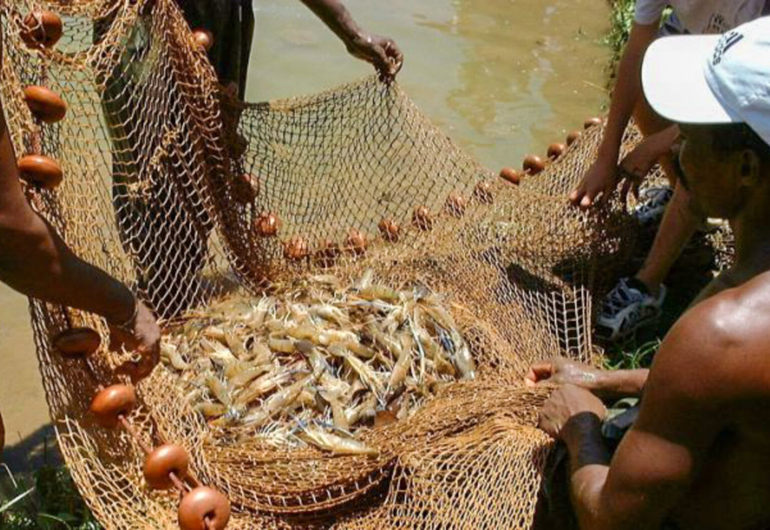 Festival Brasil Sabor celebra a diversidade da culinária nacional em 40 cidades