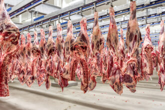 Governo brasileiro busca reverter suspensão da exportação de carne para a União Europeia