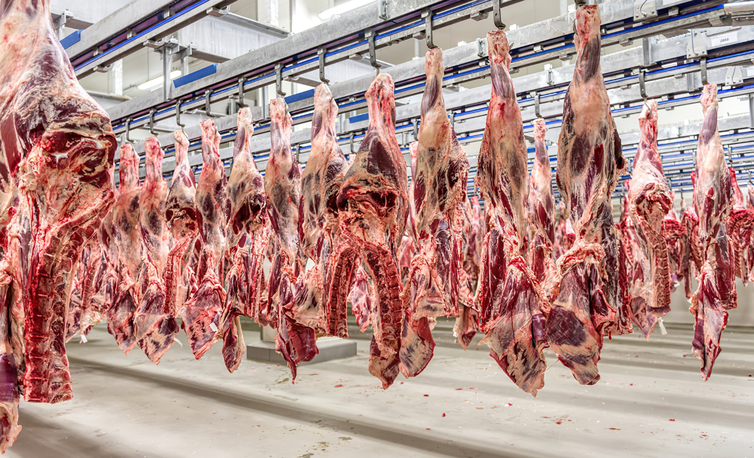Governo brasileiro busca reverter suspensão da exportação de carne para a União Europeia