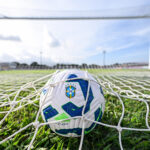 TV Brasil transmite duelo entre Palmeiras e Atlético-MG pelo Brasileirão Feminino