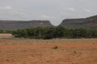 Vegetação nativa brasileira tem aumento recorde de fragmentação em 38 anos