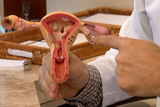 Endometriose e dor menstrual mobilizam R$ 60 milhões em recursos para pesquisas no SUS
