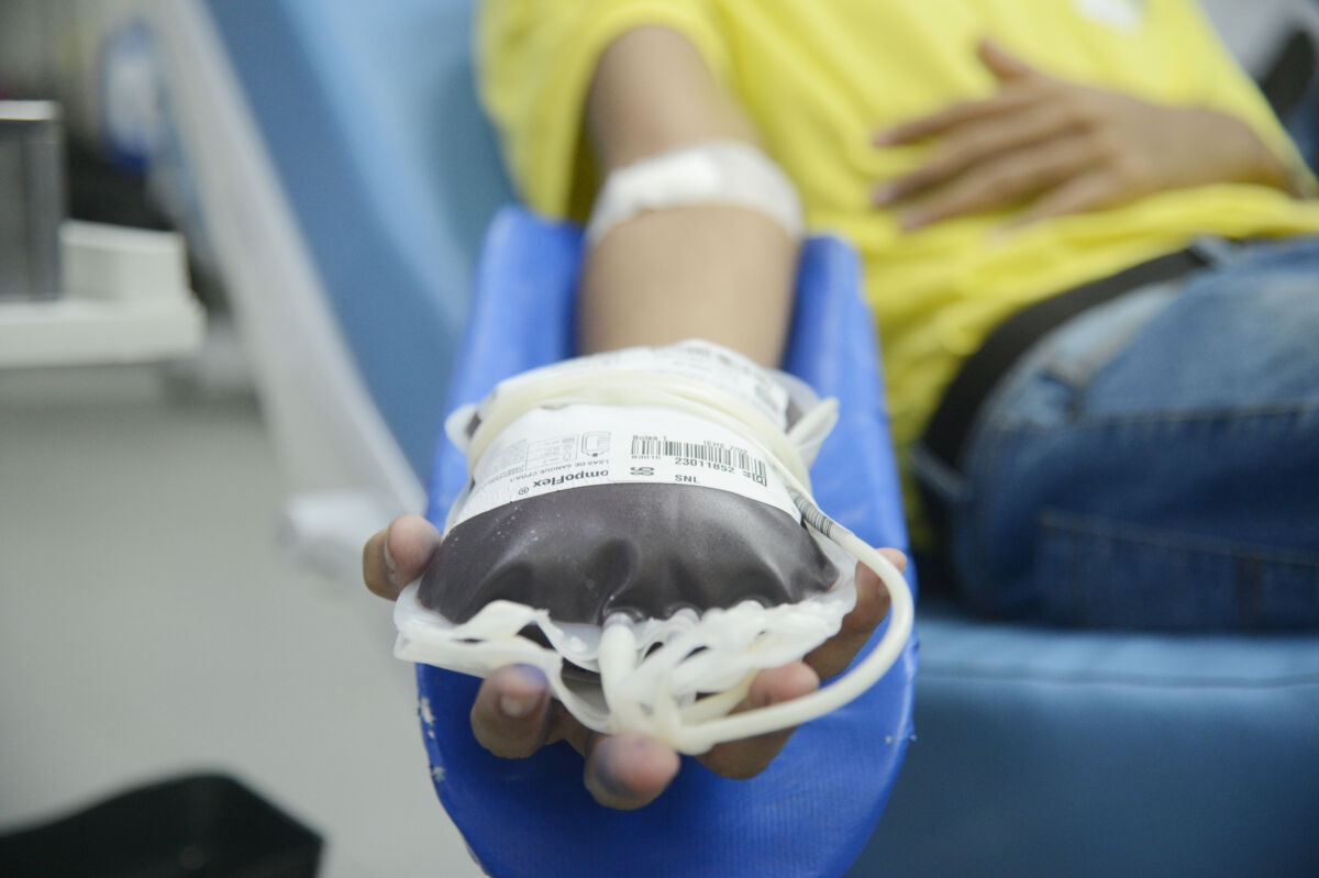 Novas regras para doação de sangue no Brasil reduzem prazos de espera a partir de outubro
