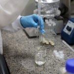 SBPC exige que futuros governadores assumam pacto pela ciência em 2026
