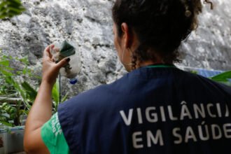 Dengue avança em São Paulo com 58,6 mil casos confirmados e 42 mortes registradas no ano