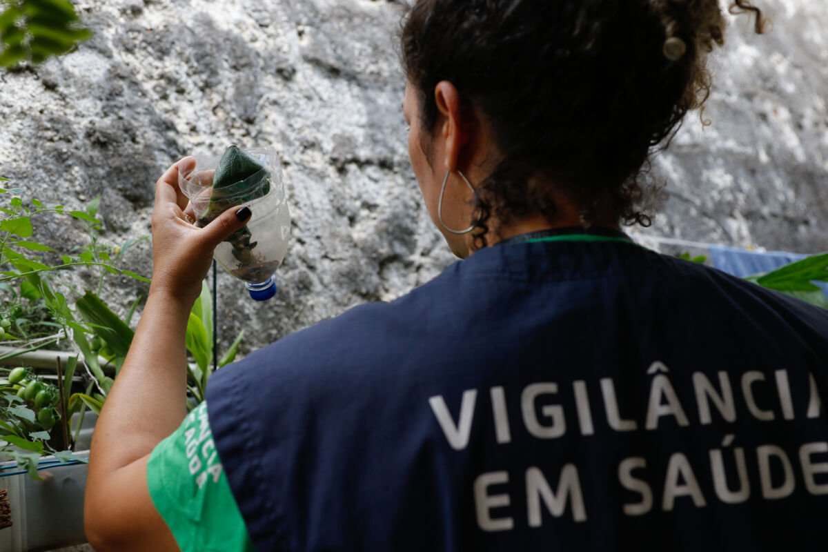 Dengue avança em São Paulo com 58,6 mil casos confirmados e 42 mortes registradas no ano