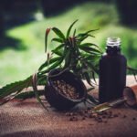 Insegurança regulatória deixa associações de cannabis medicinal à mercê da polícia