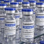 Testes clínicos da polilaminina começam no dia 24 com foco em segurança de pacientes