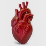 Doenças cardiovasculares provocam uma morte no Brasil a cada 72 segundos