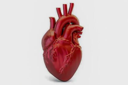 Doenças cardiovasculares provocam uma morte no Brasil a cada 72 segundos