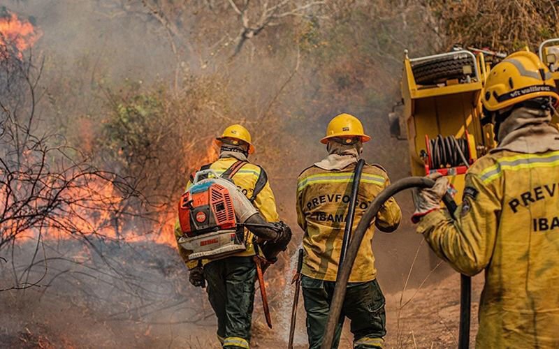 Queimadas na Amazônia ampliam vulnerabilidade sanitária em territórios indígenas